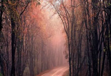 如何在手机上交易股票:买股票在什么证券公司开户好-华虹公司重组预案出炉！拟收购华力微97.5%股权 今日复牌